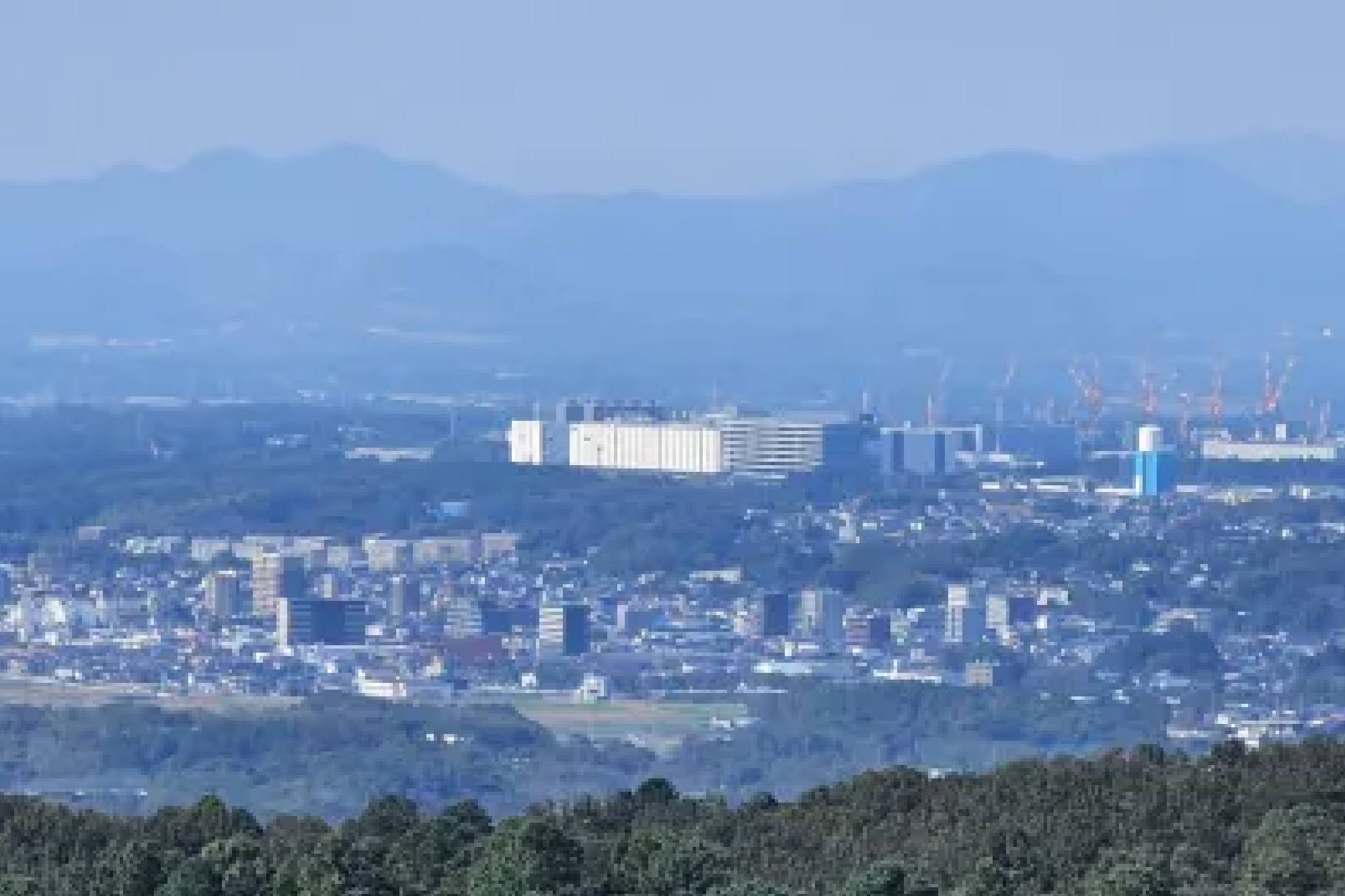 TSMC進出で熊本の交通渋滞が悪化　道路網整備は5年以内に完了予定